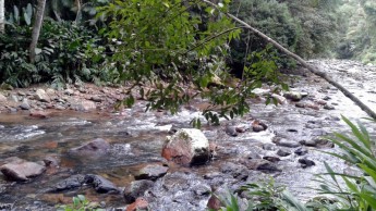 Estudantes de Quitandinha visitaram o Parque das Aves, em São Bento do Sul (1)