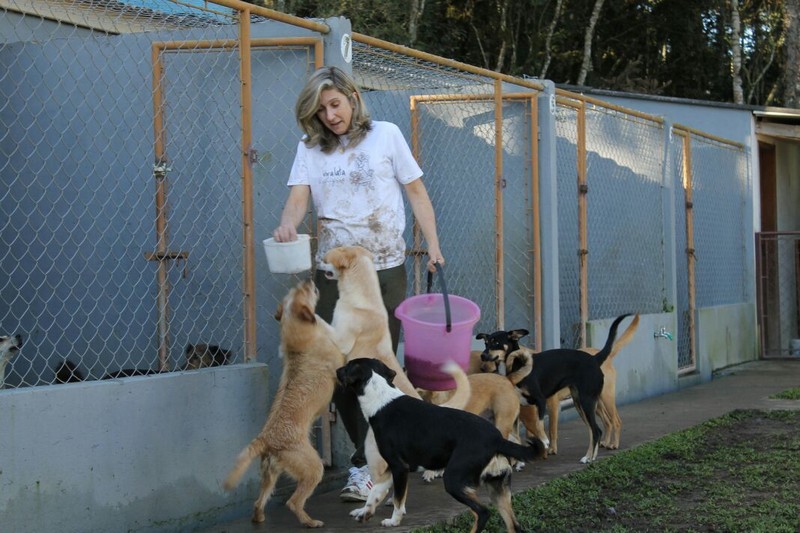 Conheça a linda história do Abrigo de Cães São Francisco de Assis (1)