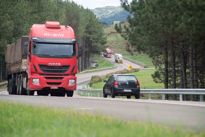 Pesquisa revela que um em cada quatro motoristas admite beber e dirigir