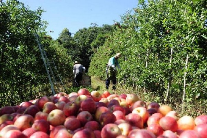 Mafra terá encontro do agronegócio